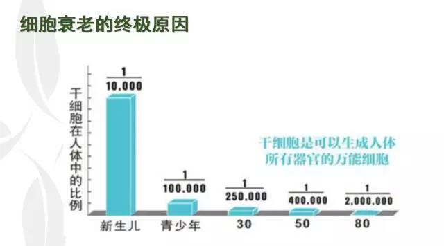 金榮細(xì)胞種子種植,還你年輕態(tài),重返十八 金榮細(xì)胞種子種植,還你年輕態(tài),重返十八
