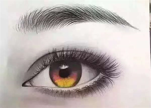 ɽںW(xu)O(sh)ӋӖ(xn)W(xu)Уʲôn