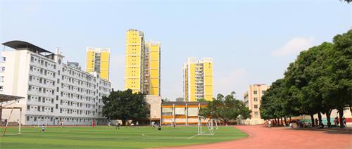 石家莊市交通運(yùn)輸學(xué)校都開(kāi)設(shè)了哪些專業(yè)? 石家莊市交通運(yùn)輸學(xué)校都開(kāi)設(shè)了哪些專業(yè)?