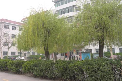 為什么都選擇保定育德中等專業(yè)學(xué)校? 為什么都選擇保定育德中等專業(yè)學(xué)校?