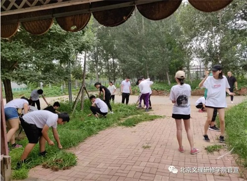 北京文理研修學(xué)院夏令營(yíng)之——芝心園生態(tài)農(nóng)場(chǎng) 北京文理研修學(xué)院夏令營(yíng)之——芝心園生態(tài)農(nóng)場(chǎng)