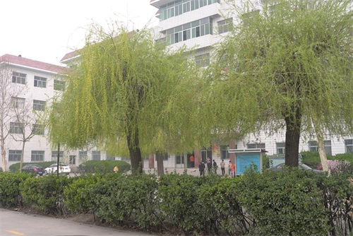 保定哪所學(xué)校有機(jī)電專業(yè)? 保定哪所學(xué)校有機(jī)電專業(yè)?