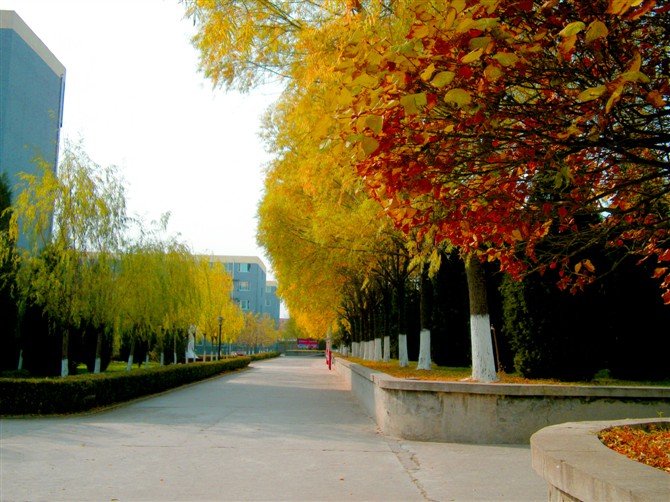 北京現(xiàn)代體育學(xué)院、航空乘務(wù)學(xué)院幼教專業(yè)好嗎? 北京現(xiàn)代體育學(xué)院、航空乘務(wù)學(xué)院幼教專業(yè)好嗎?