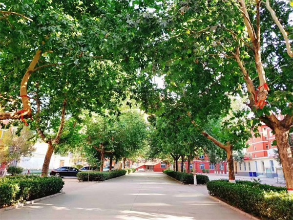 石家莊同創(chuàng)鐵路運輸學(xué)校哪些專業(yè)比較不錯? 石家莊同創(chuàng)鐵路運輸學(xué)校哪些專業(yè)比較不錯?