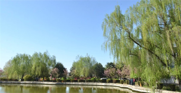 陜西通信技師學(xué)院在校生畢業(yè)去向如何? 陜西通信技師學(xué)院在校生畢業(yè)去向如何?