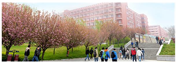 西安工程大學繼續(xù)教育學院是正規(guī)學校嗎? 西安工程大學繼續(xù)教育學院是正規(guī)學校嗎?
