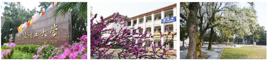 桂林哪所學(xué)校有空中乘務(wù)專業(yè)? 桂林哪所學(xué)校有空中乘務(wù)專業(yè)?